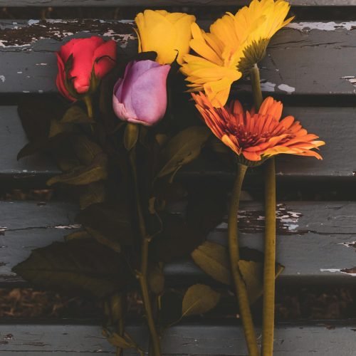 Exploring the Scent Profiles of Iconic Video Game Characters with Soy Wax Candles