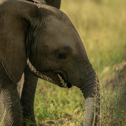 The History of Candles in Gaming Culture