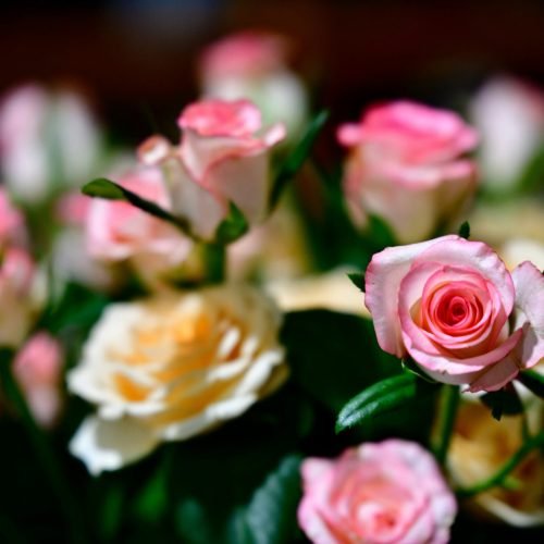 Why Candle Scents Can Make or Break Your Video Game Experience